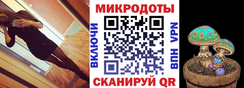 Галлюциногенные грибы Psilocybe Змеиногорск